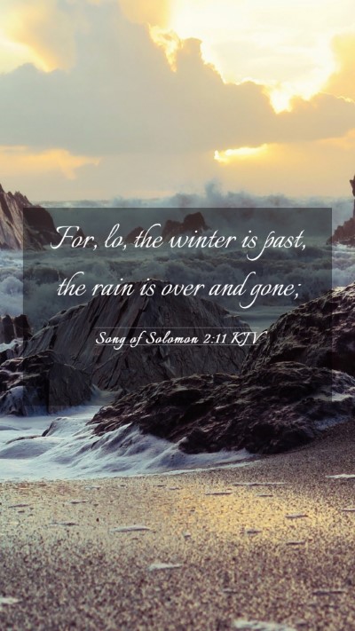 Picture 03 - Song of Solomon 2:11 KJV Mobile Phone Wallpaper - For, lo, the winter is past, the rain is over and - Mobile Bible Verse Wallpaper