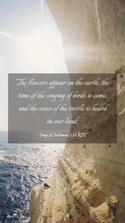 Picture 03 - Song of Solomon 2:12 KJV Mobile Phone Wallpaper - The flowers appear on the earth; the time of the - Mobile Bible Verse Wallpaper