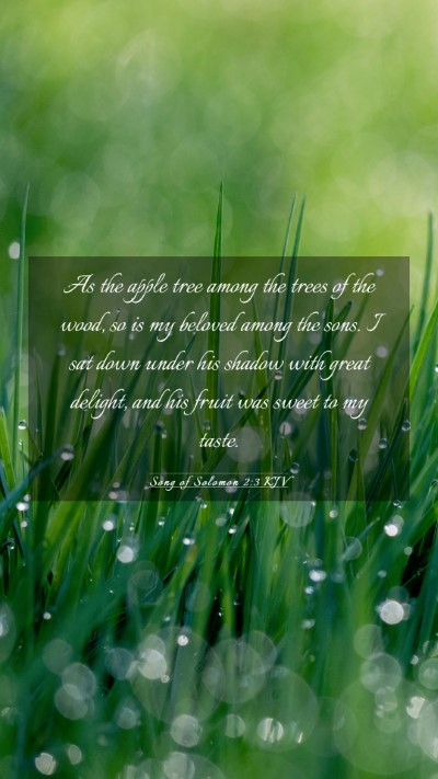 Picture 03 - Song of Solomon 2:3 KJV Mobile Phone Wallpaper - As the apple tree among the trees of the wood, so - Mobile Bible Verse Wallpaper