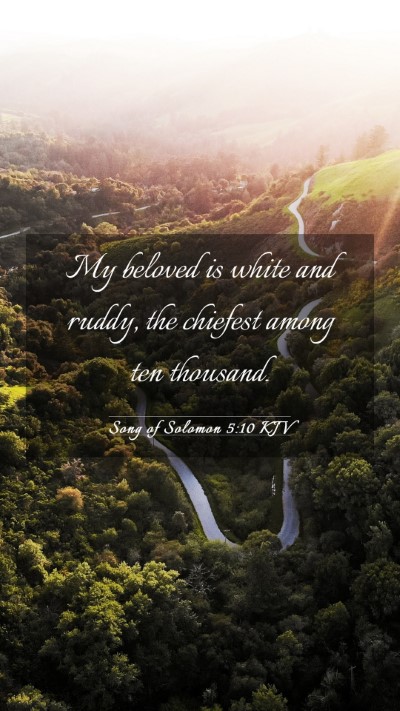 Picture 03 - Song of Solomon 5:10 KJV Mobile Phone Wallpaper - My beloved is white and ruddy, the chiefest among - Mobile Bible Verse Wallpaper
