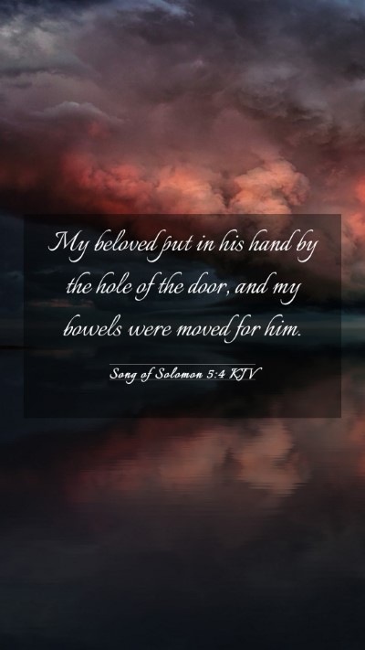 Picture 03 - Song of Solomon 5:4 KJV Mobile Phone Wallpaper - My beloved put in his hand by the hole of the - Mobile Bible Verse Wallpaper