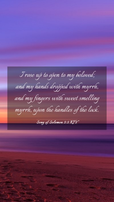 Picture 03 - Song of Solomon 5:5 KJV Mobile Phone Wallpaper - I rose up to open to my beloved; and my hands - Mobile Bible Verse Wallpaper