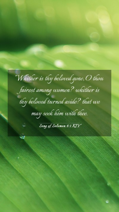 Picture 03 - Song of Solomon 6:1 KJV Mobile Phone Wallpaper - Whither is thy beloved gone, O thou fairest among - Mobile Bible Verse Wallpaper