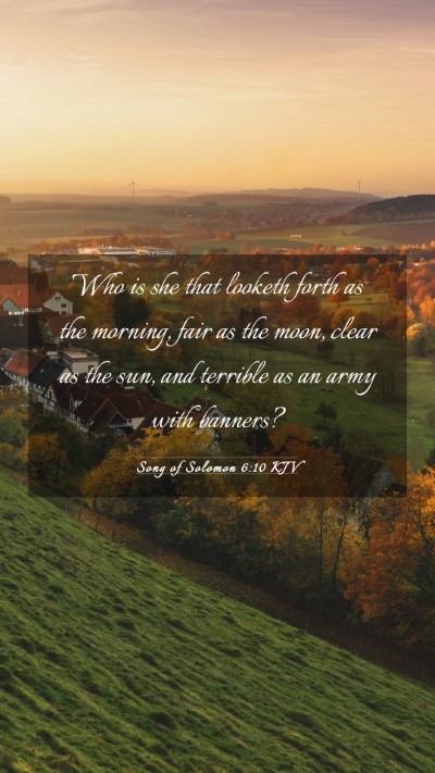 Picture 03 - Song of Solomon 6:10 KJV Mobile Phone Wallpaper - Who is she that looketh forth as the morning, - Mobile Bible Verse Wallpaper