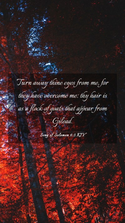 Picture 03 - Song of Solomon 6:5 KJV Mobile Phone Wallpaper - Turn away thine eyes from me, for they have - Mobile Bible Verse Wallpaper
