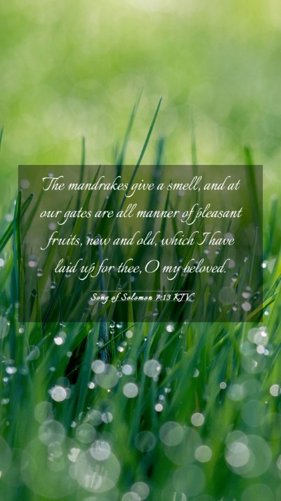 Picture 03 - Song of Solomon 7:13 KJV Mobile Phone Wallpaper - The mandrakes give a smell, and at our gates are - Mobile Bible Verse Wallpaper