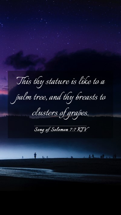 Picture 03 - Song of Solomon 7:7 KJV Mobile Phone Wallpaper - This thy stature is like to a palm tree, and thy - Mobile Bible Verse Wallpaper