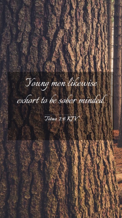 Picture 03 - Titus 2:6 KJV Mobile Phone Wallpaper - Young men likewise exhort to be sober - Mobile Bible Verse Wallpaper