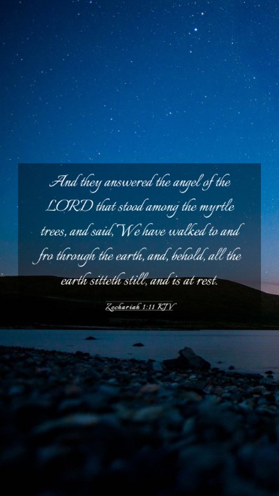 Picture 03 - Zechariah 1:11 KJV Mobile Phone Wallpaper - And they answered the angel of the LORD that - Mobile Bible Verse Wallpaper
