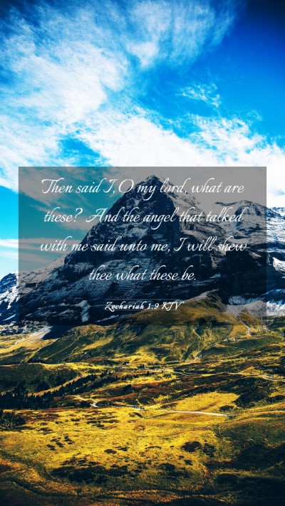 Picture 03 - Zechariah 1:9 KJV Mobile Phone Wallpaper - Then said I, O my lord, what are these? And the - Mobile Bible Verse Wallpaper