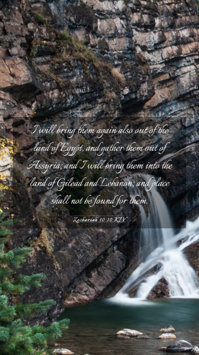 Picture 03 - Zechariah 10:10 KJV Mobile Phone Wallpaper - I will bring them again also out of the land of - Mobile Bible Verse Wallpaper