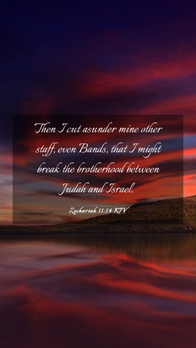 Picture 03 - Zechariah 11:14 KJV Mobile Phone Wallpaper - Then I cut asunder mine other staff, even Bands, - Mobile Bible Verse Wallpaper