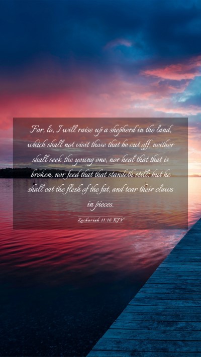 Picture 03 - Zechariah 11:16 KJV Mobile Phone Wallpaper - For, lo, I will raise up a shepherd in the land, - Mobile Bible Verse Wallpaper