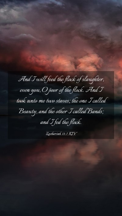 Picture 03 - Zechariah 11:7 KJV Mobile Phone Wallpaper - And I will feed the flock of slaughter, even you, - Mobile Bible Verse Wallpaper