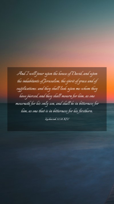 Picture 03 - Zechariah 12:10 KJV Mobile Phone Wallpaper - And I will pour upon the house of David, and upon - Mobile Bible Verse Wallpaper