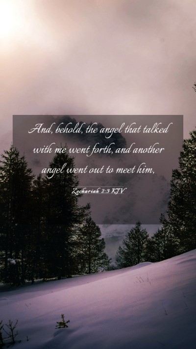 Picture 03 - Zechariah 2:3 KJV Mobile Phone Wallpaper - And, behold, the angel that talked with me went - Mobile Bible Verse Wallpaper