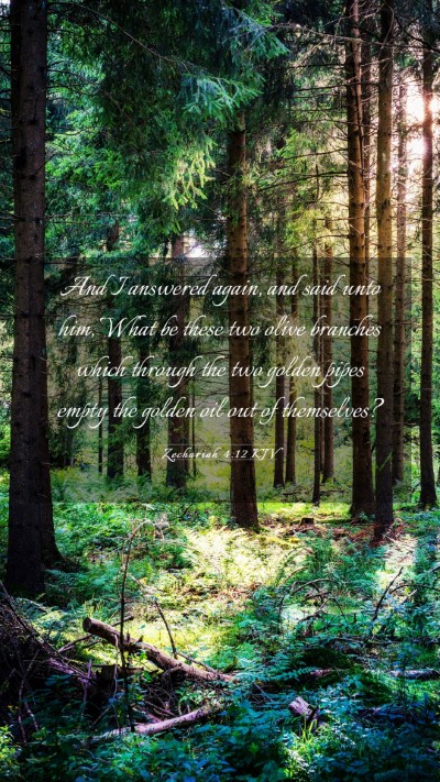 Picture 03 - Zechariah 4:12 KJV Mobile Phone Wallpaper - And I answered again, and said unto him, What be - Mobile Bible Verse Wallpaper
