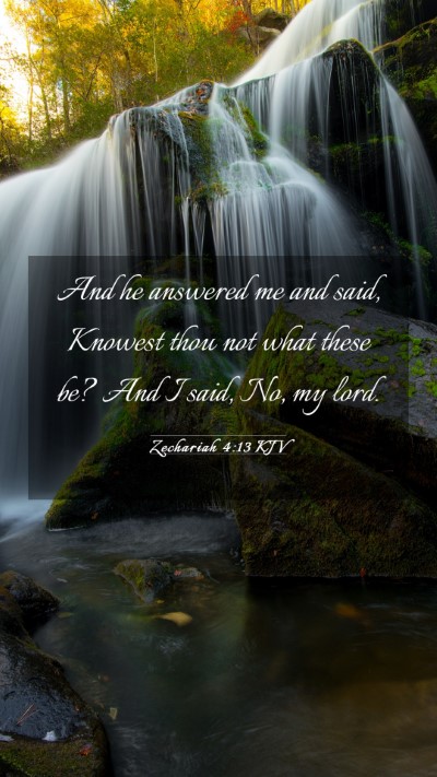 Picture 03 - Zechariah 4:13 KJV Mobile Phone Wallpaper - And he answered me and said, Knowest thou not - Mobile Bible Verse Wallpaper