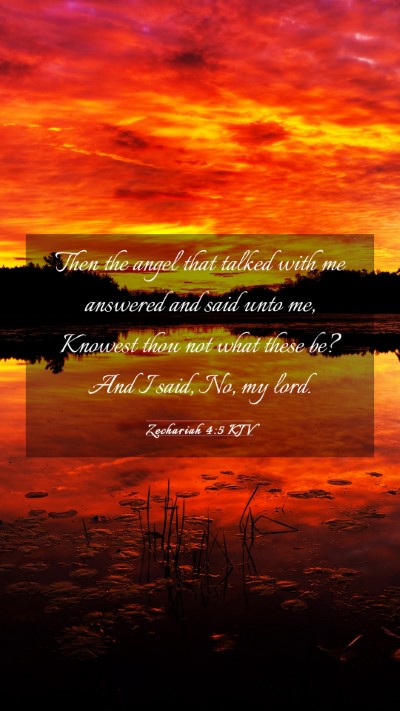 Picture 03 - Zechariah 4:5 KJV Mobile Phone Wallpaper - Then the angel that talked with me answered and - Mobile Bible Verse Wallpaper