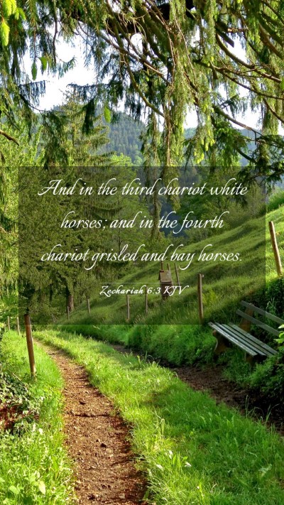 Picture 03 - Zechariah 6:3 KJV Mobile Phone Wallpaper - And in the third chariot white horses; and in the - Mobile Bible Verse Wallpaper