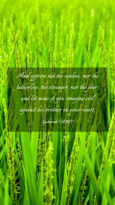 Picture 03 - Zechariah 7:10 KJV Mobile Phone Wallpaper - And oppress not the widow, nor the fatherless, - Mobile Bible Verse Wallpaper