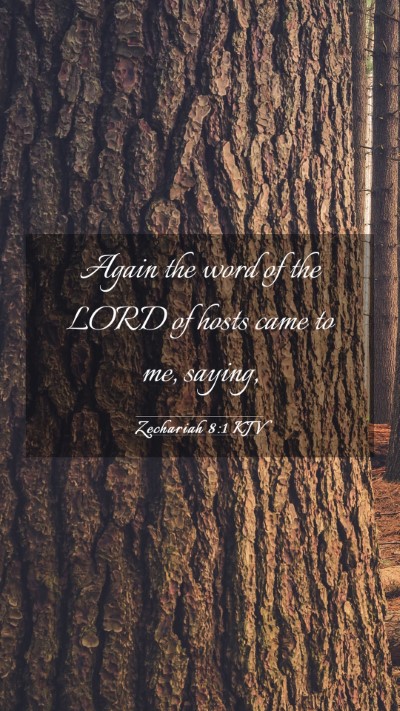 Picture 03 - Zechariah 8:1 KJV Mobile Phone Wallpaper - Again the word of the LORD of hosts came to me, - Mobile Bible Verse Wallpaper