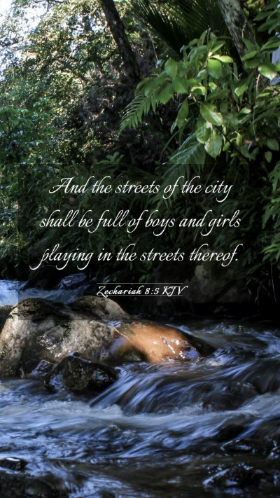 Picture 03 - Zechariah 8:5 KJV Mobile Phone Wallpaper - And the streets of the city shall be full of boys - Mobile Bible Verse Wallpaper