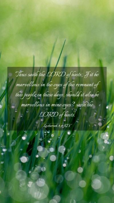 Picture 03 - Zechariah 8:6 KJV Mobile Phone Wallpaper - Thus saith the LORD of hosts; If it be marvellous - Mobile Bible Verse Wallpaper