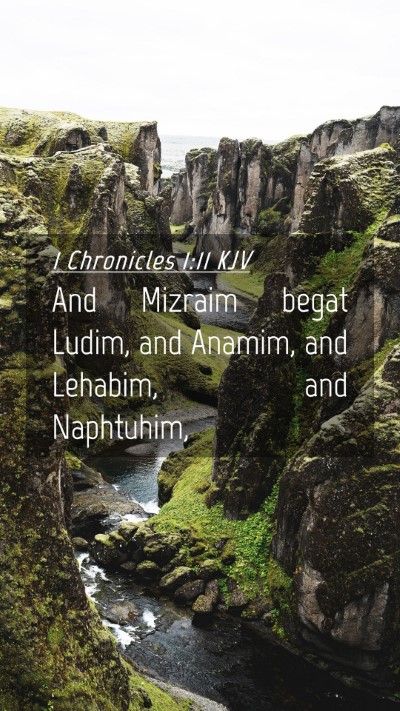 Picture 04 - 1 Chronicles 1:11 KJV Mobile Phone Wallpaper - And Mizraim begat Ludim, and Anamim, and Lehabim, - Mobile Bible Verse Wallpaper