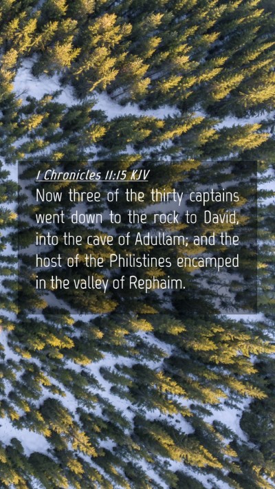 Picture 04 - 1 Chronicles 11:15 KJV Mobile Phone Wallpaper - Now three of the thirty captains went down to the - Mobile Bible Verse Wallpaper