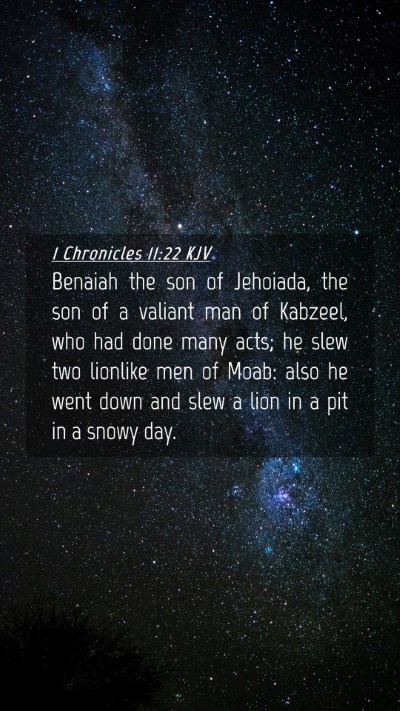 Picture 04 - 1 Chronicles 11:22 KJV Mobile Phone Wallpaper - Benaiah the son of Jehoiada, the son of a valiant - Mobile Bible Verse Wallpaper