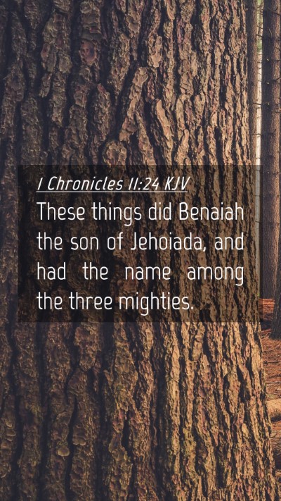 Picture 04 - 1 Chronicles 11:24 KJV Mobile Phone Wallpaper - These things did Benaiah the son of Jehoiada, and - Mobile Bible Verse Wallpaper