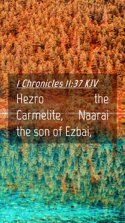 Picture 04 - 1 Chronicles 11:37 KJV Mobile Phone Wallpaper - Hezro the Carmelite, Naarai the son of - Mobile Bible Verse Wallpaper