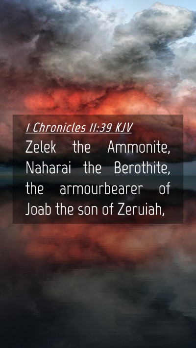 Picture 04 - 1 Chronicles 11:39 KJV Mobile Phone Wallpaper - Zelek the Ammonite, Naharai the Berothite, the - Mobile Bible Verse Wallpaper