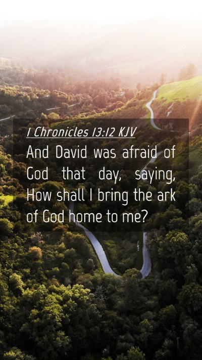 Picture 04 - 1 Chronicles 13:12 KJV Mobile Phone Wallpaper - And David was afraid of God that day, saying, How - Mobile Bible Verse Wallpaper