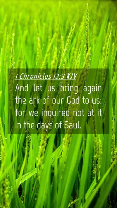 Picture 04 - 1 Chronicles 13:3 KJV Mobile Phone Wallpaper - And let us bring again the ark of our God to us: - Mobile Bible Verse Wallpaper