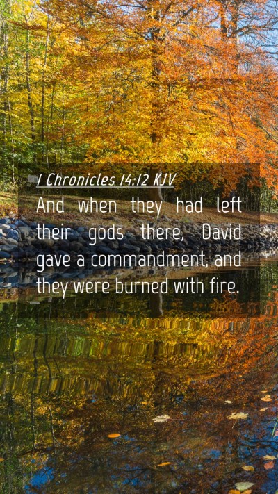 Picture 04 - 1 Chronicles 14:12 KJV Mobile Phone Wallpaper - And when they had left their gods there, David - Mobile Bible Verse Wallpaper