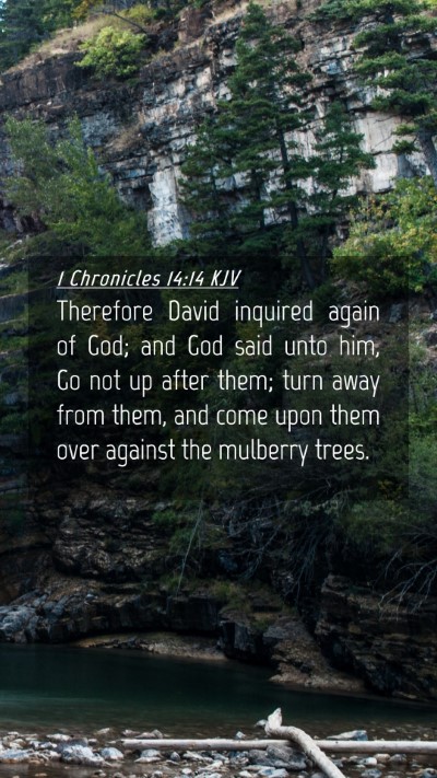 Picture 04 - 1 Chronicles 14:14 KJV Mobile Phone Wallpaper - Therefore David inquired again of God; and God - Mobile Bible Verse Wallpaper
