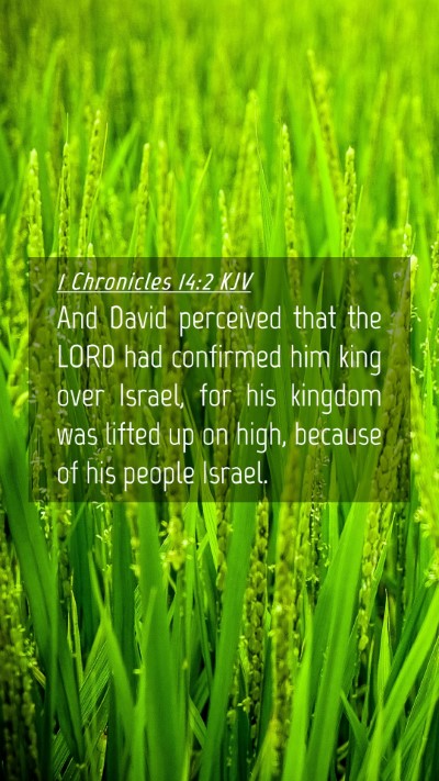 Picture 04 - 1 Chronicles 14:2 KJV Mobile Phone Wallpaper - And David perceived that the LORD had confirmed - Mobile Bible Verse Wallpaper