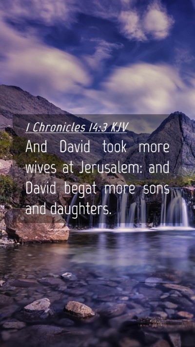 Picture 04 - 1 Chronicles 14:3 KJV Mobile Phone Wallpaper - And David took more wives at Jerusalem: and David - Mobile Bible Verse Wallpaper
