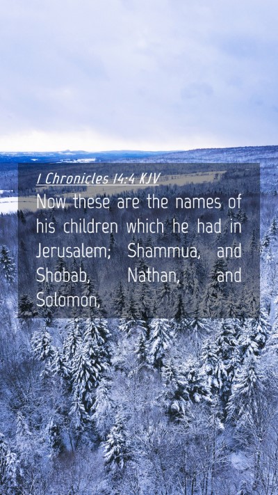 Picture 04 - 1 Chronicles 14:4 KJV Mobile Phone Wallpaper - Now these are the names of his children which he - Mobile Bible Verse Wallpaper