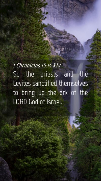 Picture 04 - 1 Chronicles 15:14 KJV Mobile Phone Wallpaper - So the priests and the Levites sanctified - Mobile Bible Verse Wallpaper