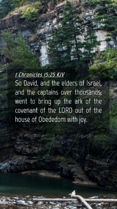 Picture 04 - 1 Chronicles 15:25 KJV Mobile Phone Wallpaper - So David, and the elders of Israel, and the - Mobile Bible Verse Wallpaper