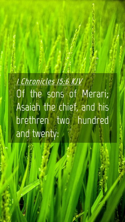 Picture 04 - 1 Chronicles 15:6 KJV Mobile Phone Wallpaper - Of the sons of Merari; Asaiah the chief, and his - Mobile Bible Verse Wallpaper