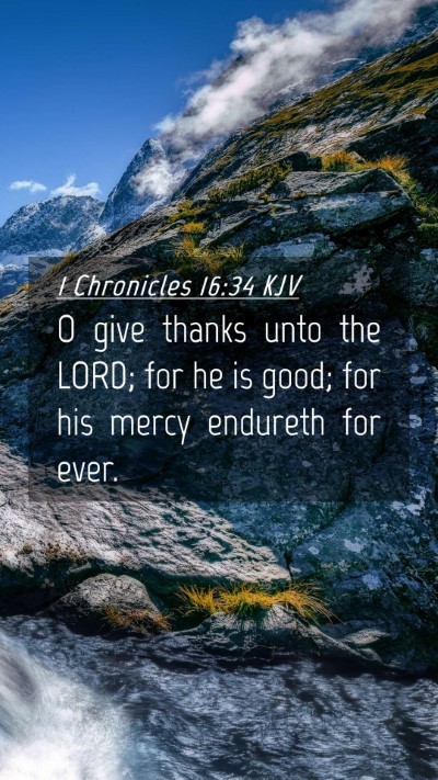 Picture 04 - 1 Chronicles 16:34 KJV Mobile Phone Wallpaper - O give thanks unto the LORD; for he is good; for - Mobile Bible Verse Wallpaper