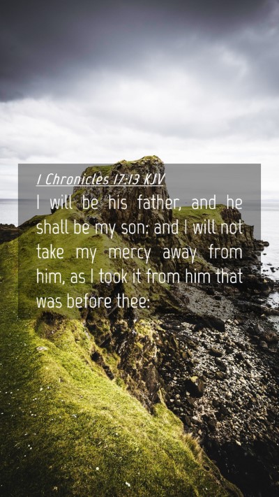Picture 04 - 1 Chronicles 17:13 KJV Mobile Phone Wallpaper - I will be his father, and he shall be my son: and - Mobile Bible Verse Wallpaper
