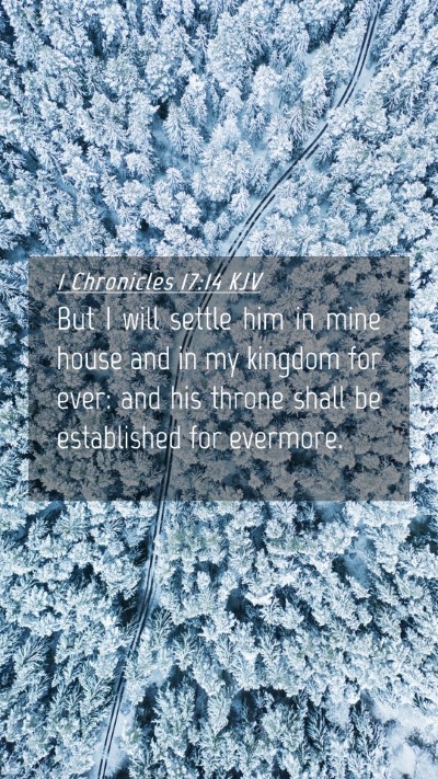 Picture 04 - 1 Chronicles 17:14 KJV Mobile Phone Wallpaper - But I will settle him in mine house and in my - Mobile Bible Verse Wallpaper