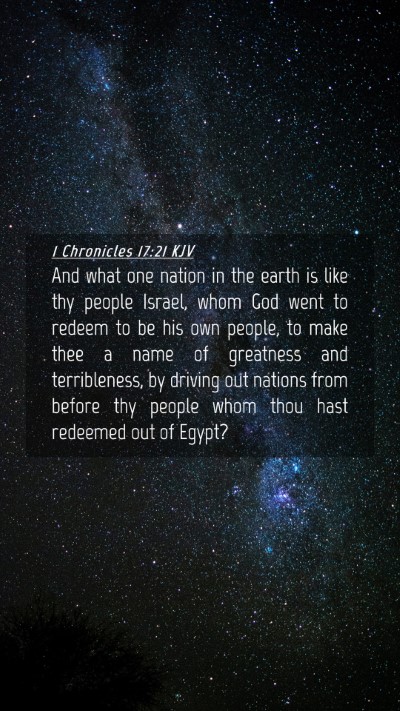 Picture 04 - 1 Chronicles 17:21 KJV Mobile Phone Wallpaper - And what one nation in the earth is like thy - Mobile Bible Verse Wallpaper