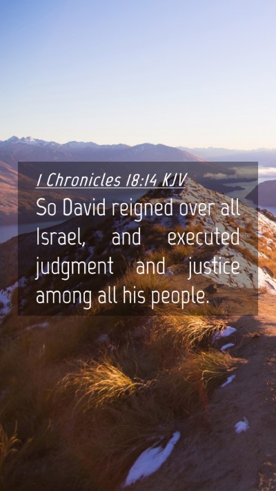 Picture 04 - 1 Chronicles 18:14 KJV Mobile Phone Wallpaper - So David reigned over all Israel, and executed - Mobile Bible Verse Wallpaper