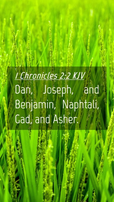 Picture 04 - 1 Chronicles 2:2 KJV Mobile Phone Wallpaper - Dan, Joseph, and Benjamin, Naphtali, Gad, and - Mobile Bible Verse Wallpaper